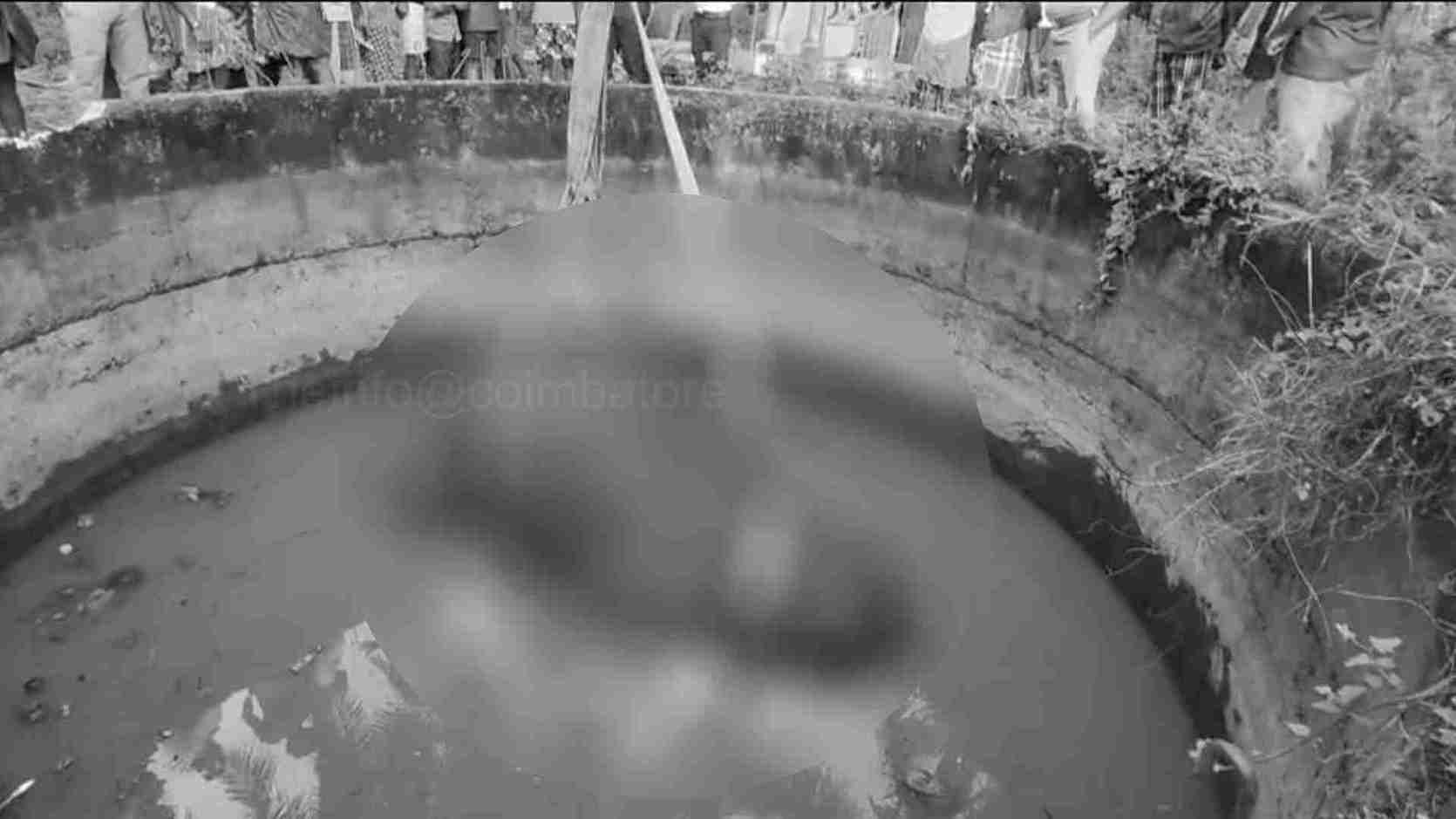 தண்ணீர் தொட்டியில் விழுந்து யானை உயிரிழந்த பரிதாபம்!